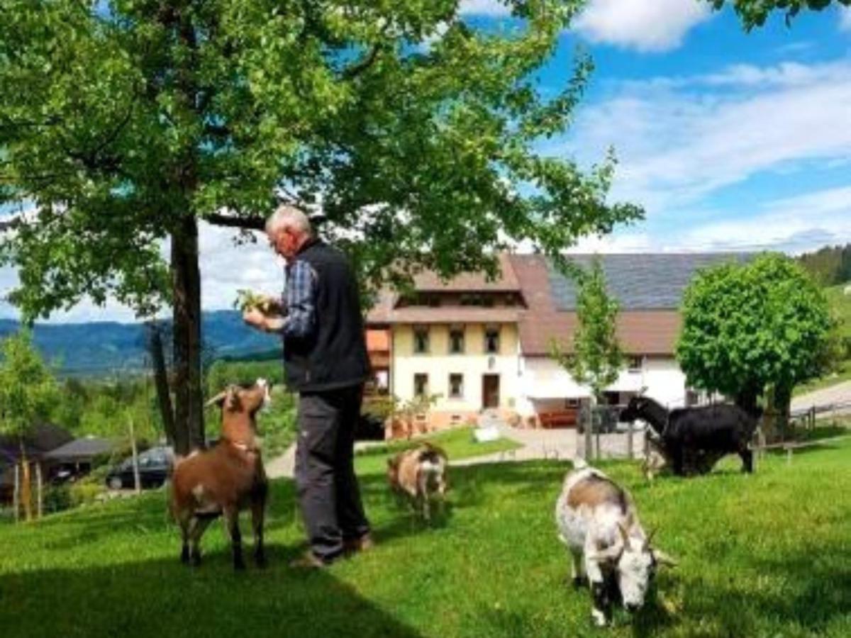 Ferienwohnungen Maierhof Oberried Oberried  Exterior foto