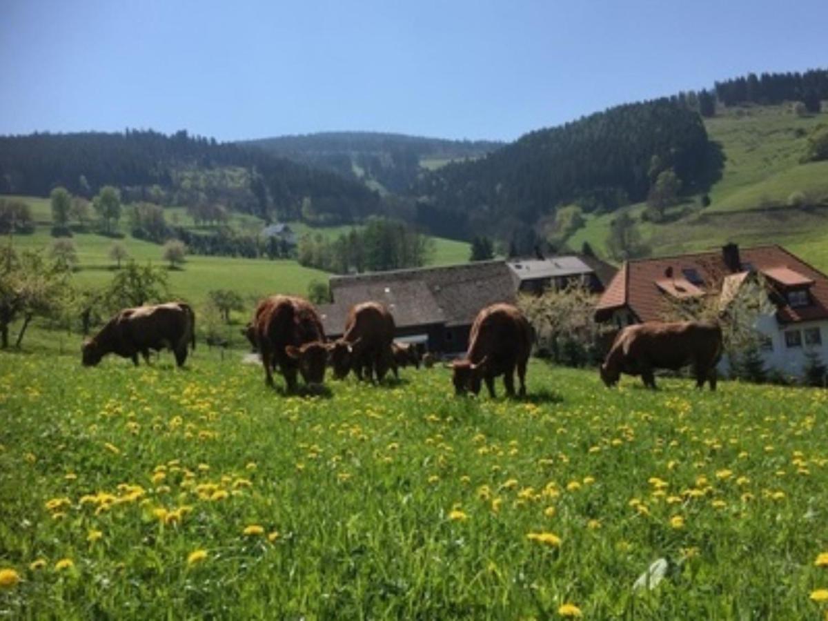 Ferienwohnungen Maierhof Oberried Oberried  Exterior foto